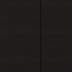 HomeRoots 47 Black Wood Wall Mounted Accent Cabinet With Four Doors