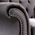 Tese Traditional Fabric Felt Button Tufted Armchair by Furniture of America