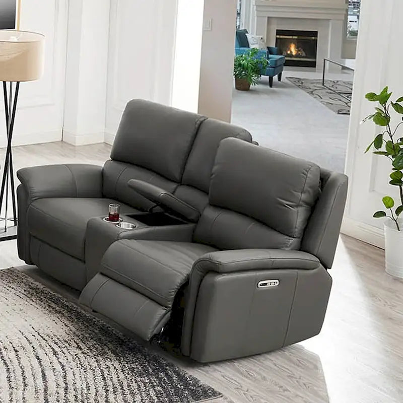 Hydeline Erindale Zero Gravity Power Recline and Headrest Top Grain Leather Loveseat