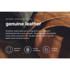 Signature Design by Ashley Carianna Caramel Queen Sofa Sleeper - 101 W x 40 D x 40 H