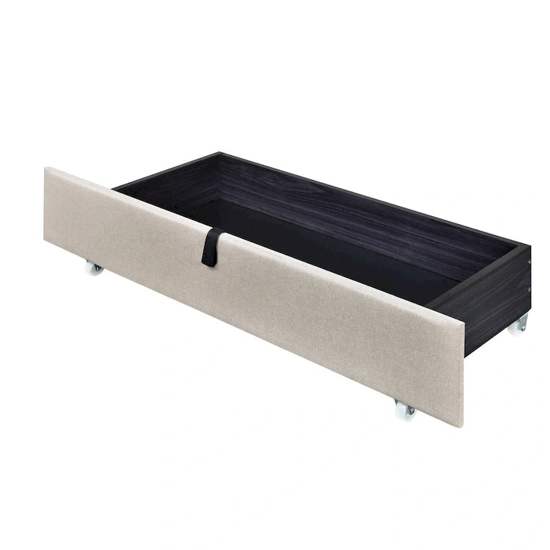 Queen Size Upholstered Platform Bed with LED Frame and 4 Drawers